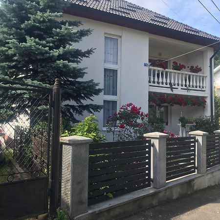 Pensiunea Grapini Sant 외부 사진