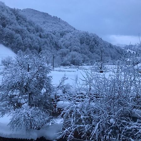 Pensiunea Grapini Sant 외부 사진
